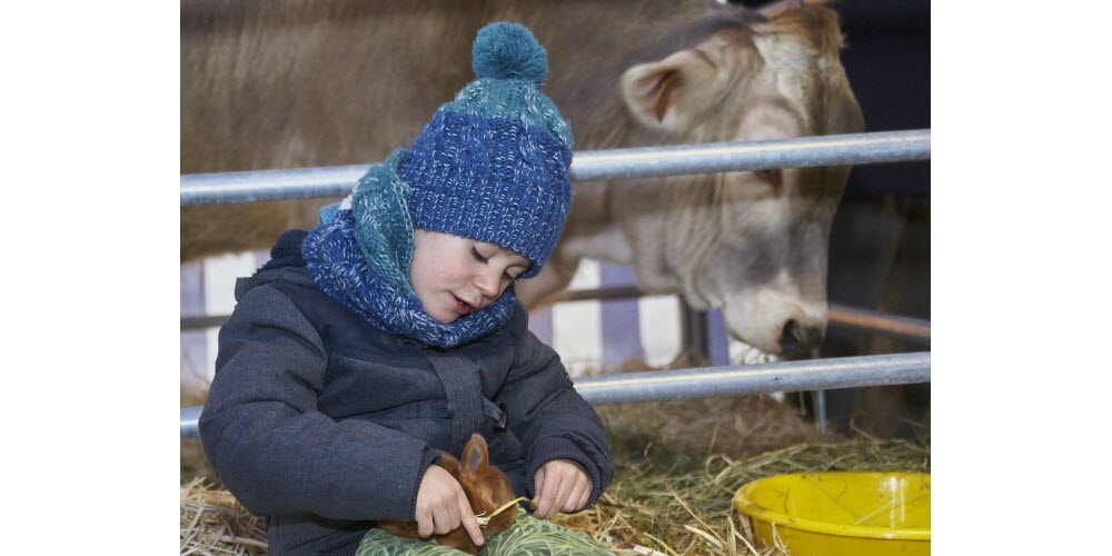 « Un étrange programme de thérapie animale à l’hôpital d’enfants de Nancy »