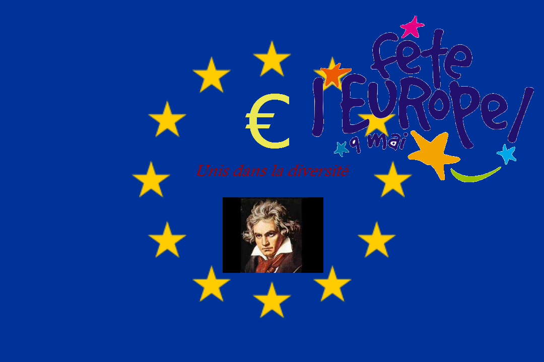 «L’UE veut s’emparer de notre souveraineté !»